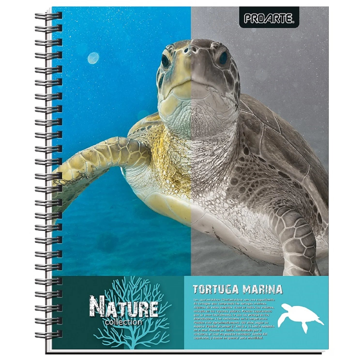 cuadernos unisex