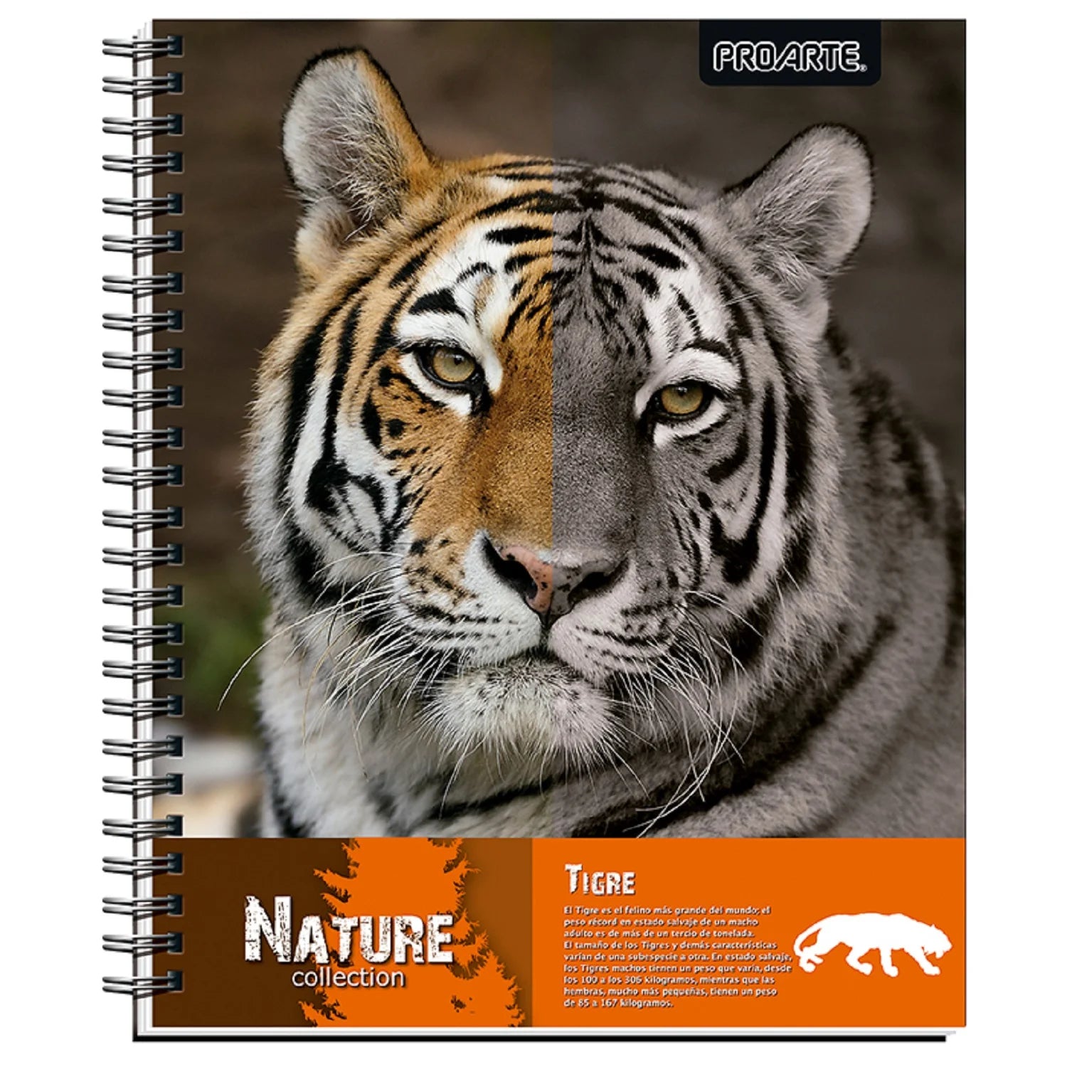 cuaderno universitario animales