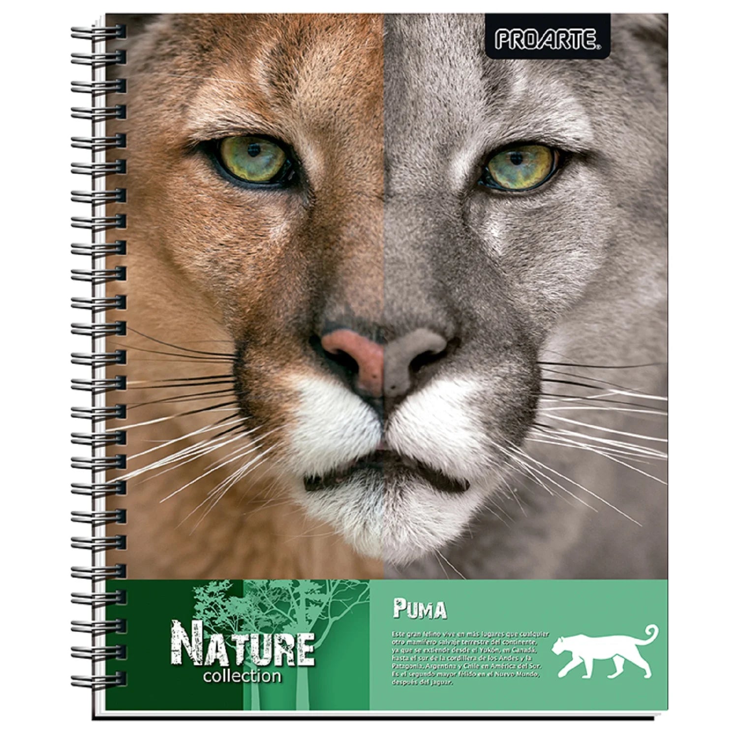 cuadernos nature proarte