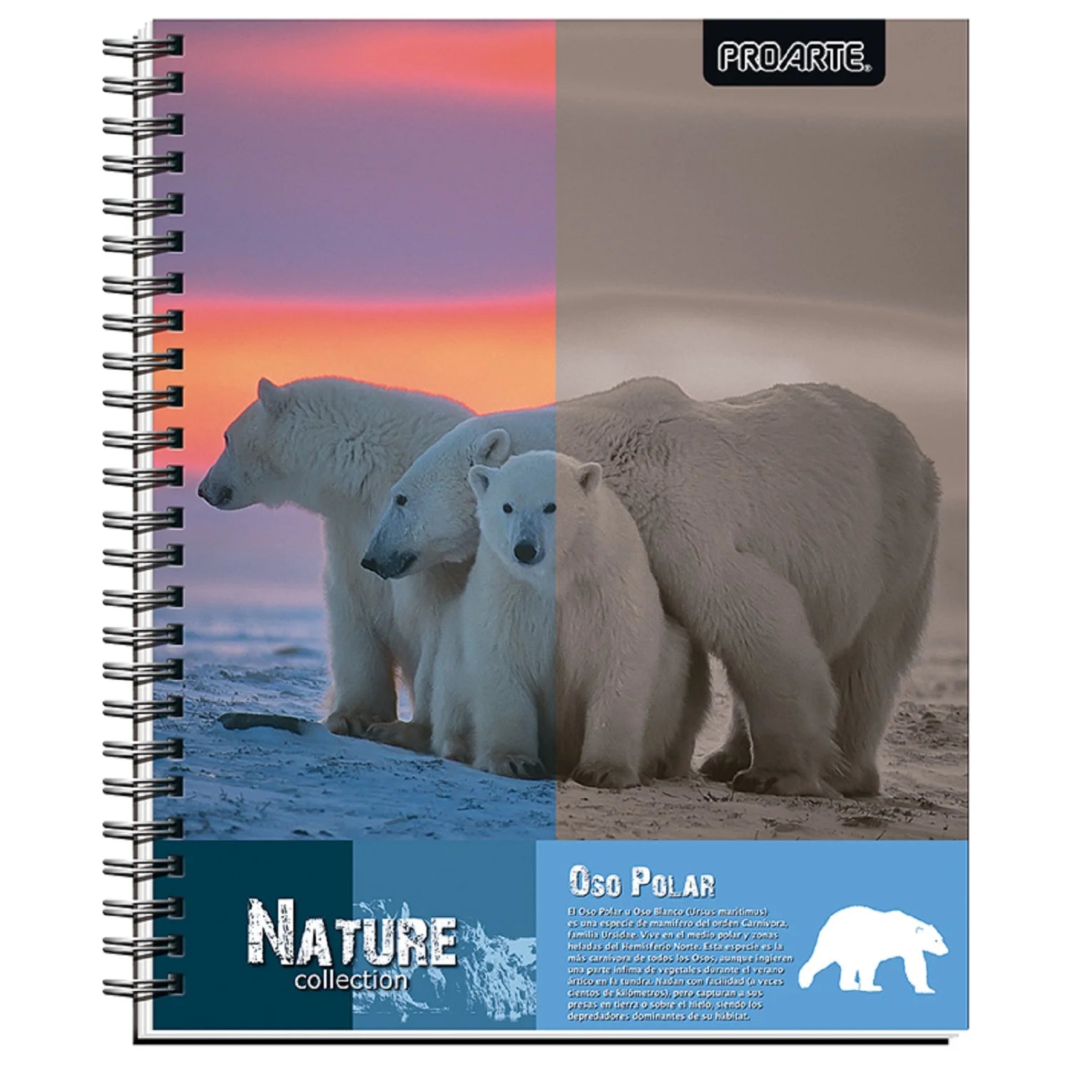 cuaderno 22155-4 proarte