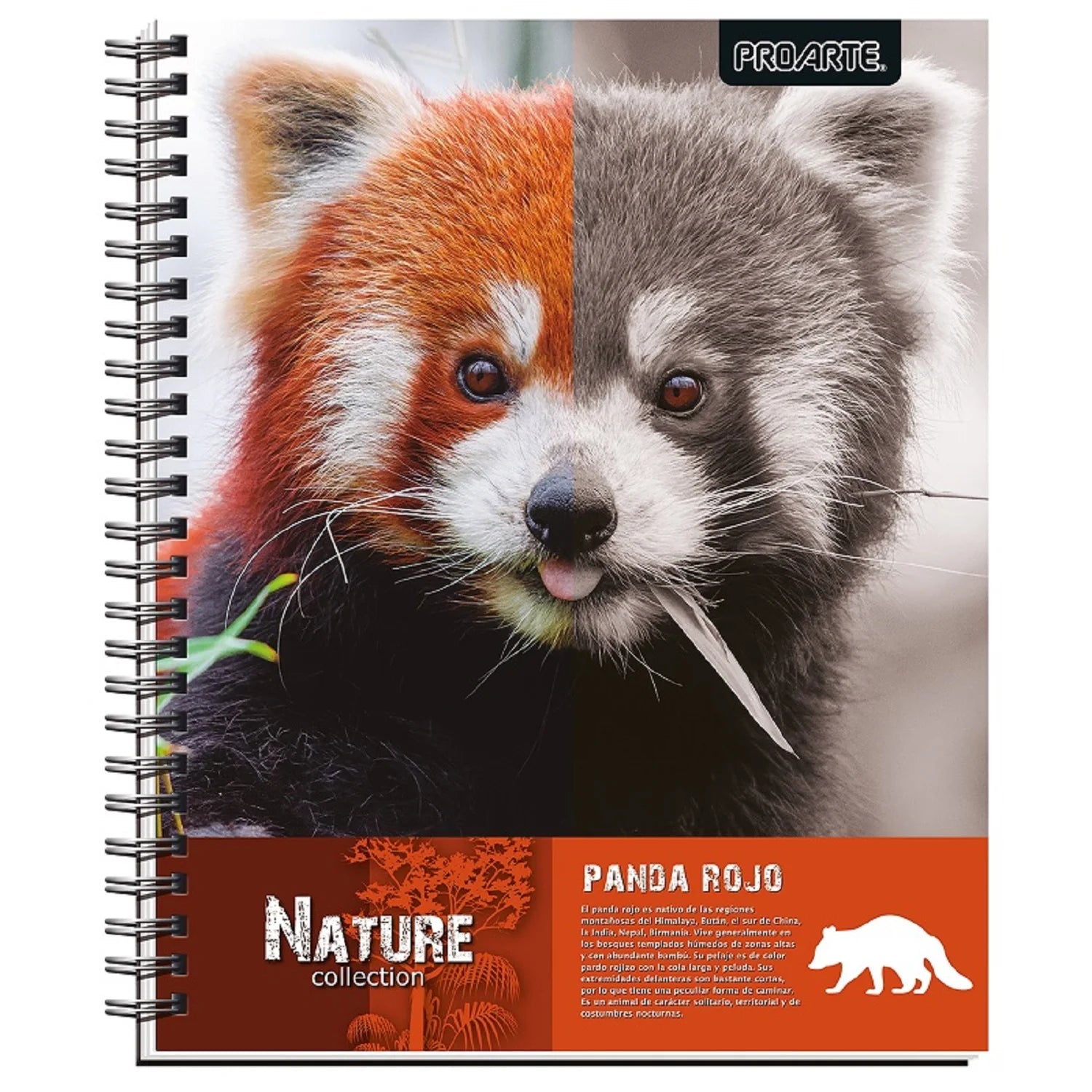 cuaderno bonito