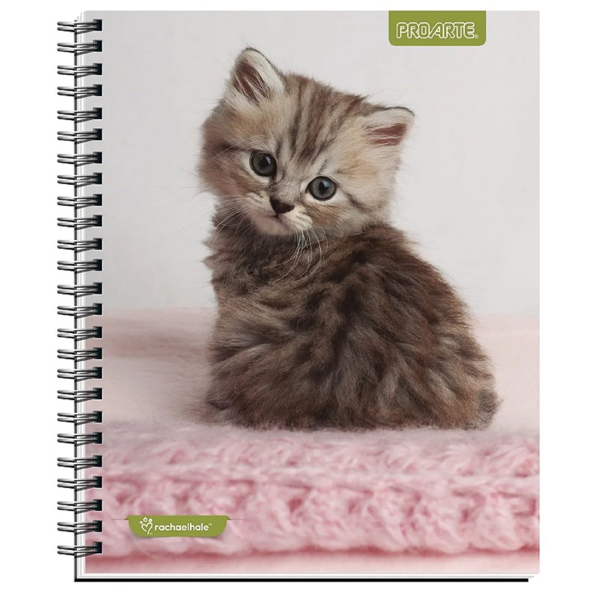 cuaderno universitario de gatito