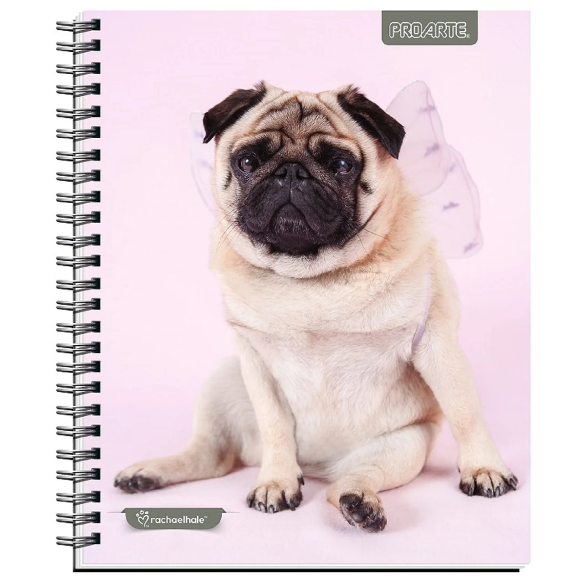 cuaderno de perro