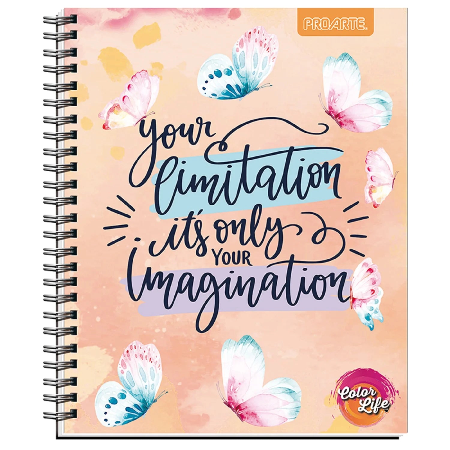 cuadernos universitarios en viña