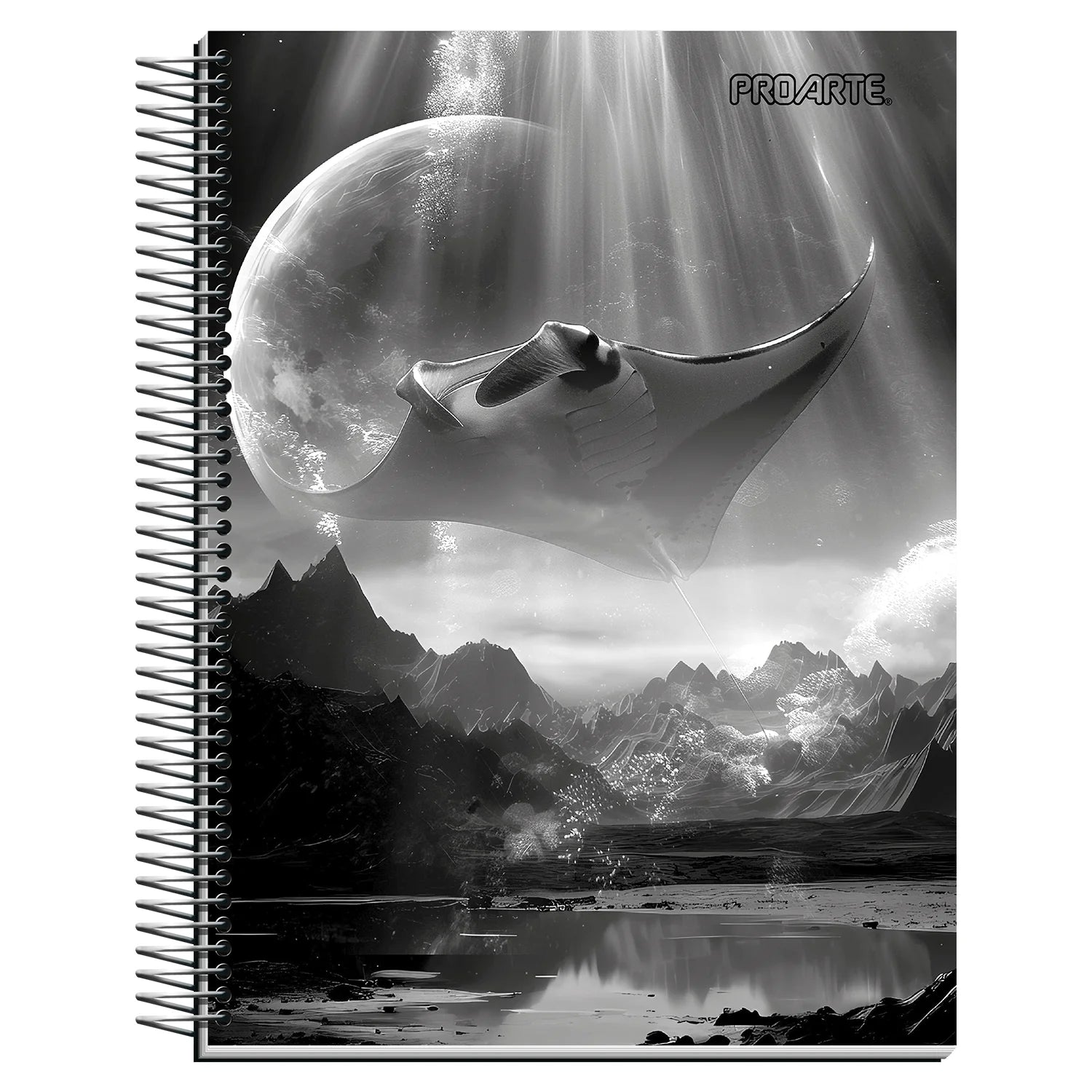 cuaderno book