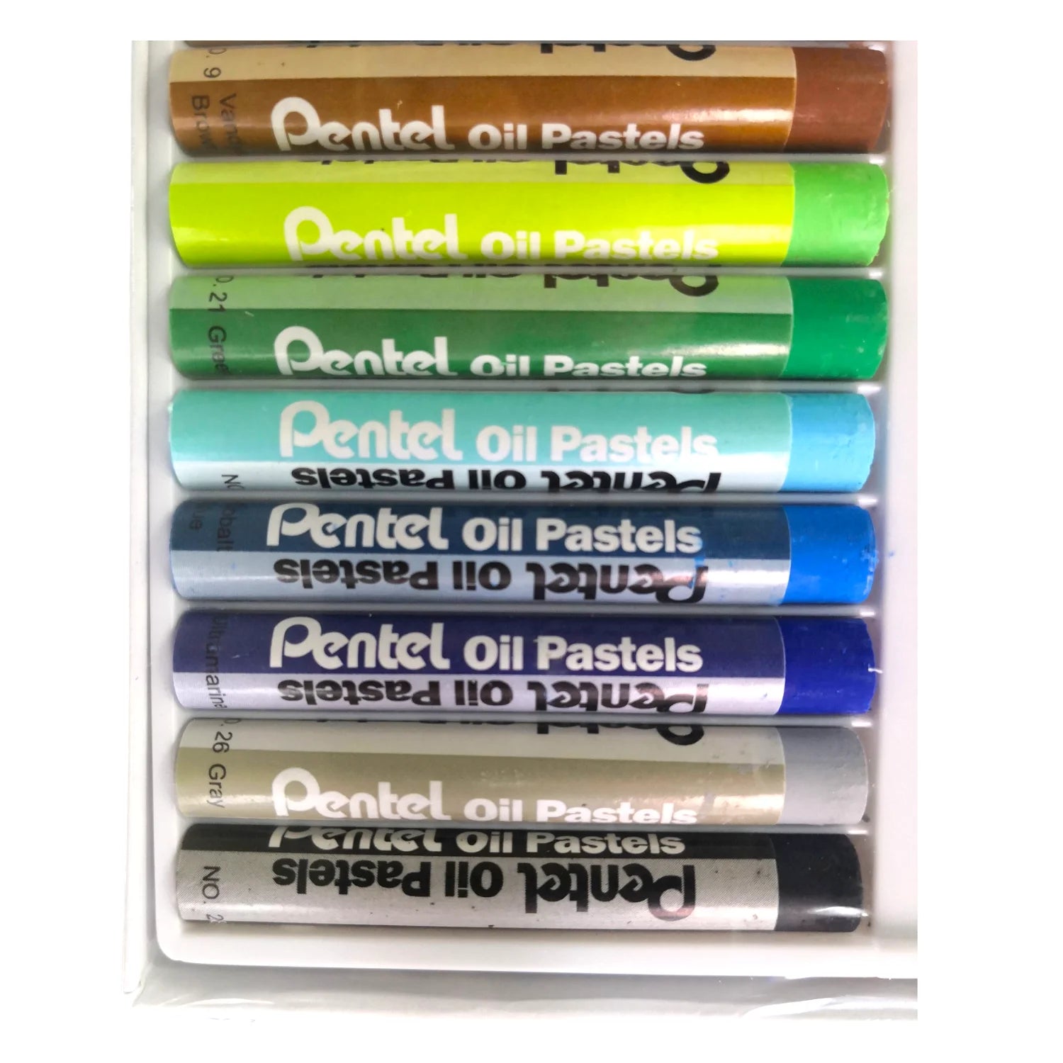 lapices pastel graso