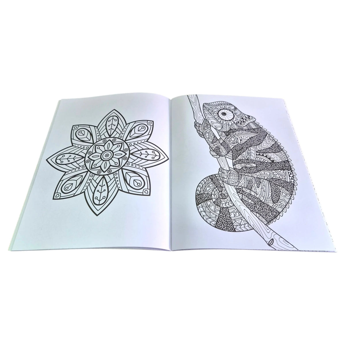 libro para colorear mandalas