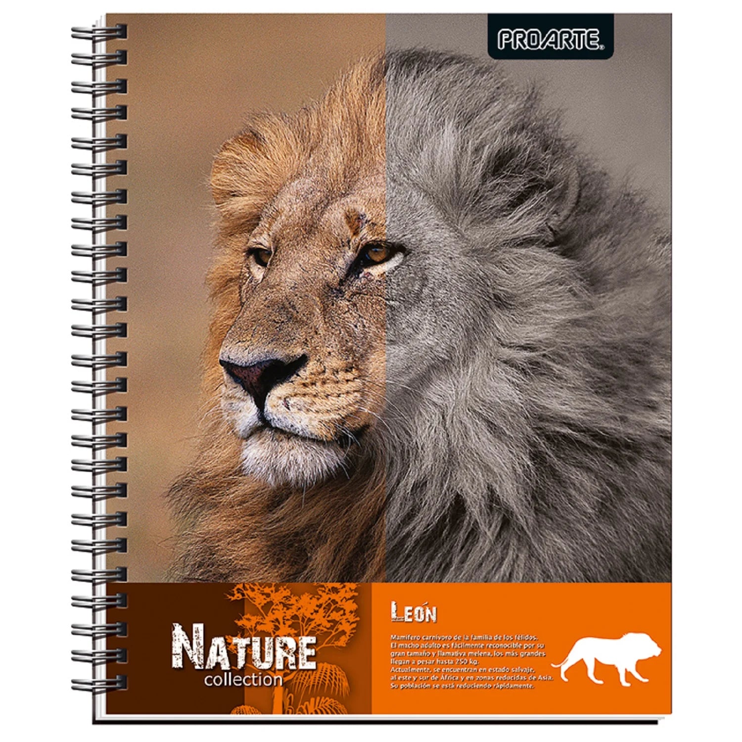 cuaderno para niños