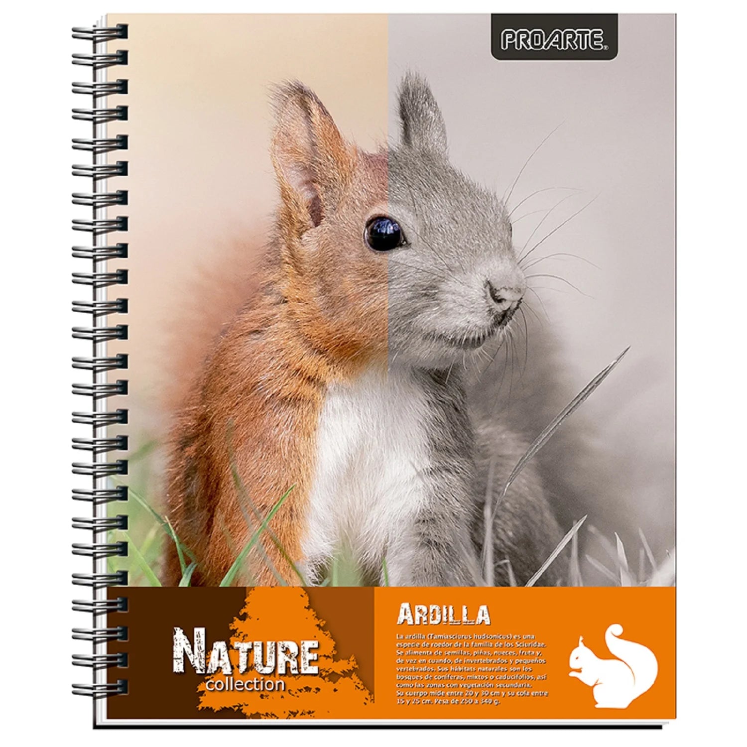 cuadernos para niños
