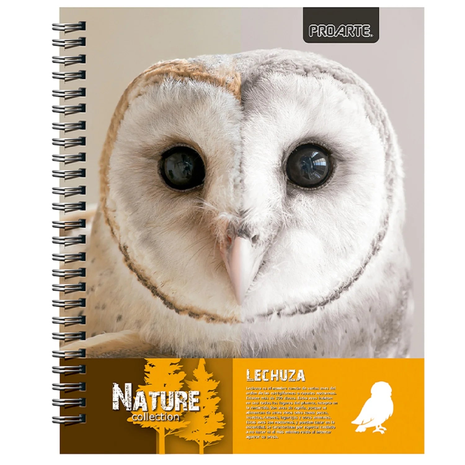 cuadernos en chile