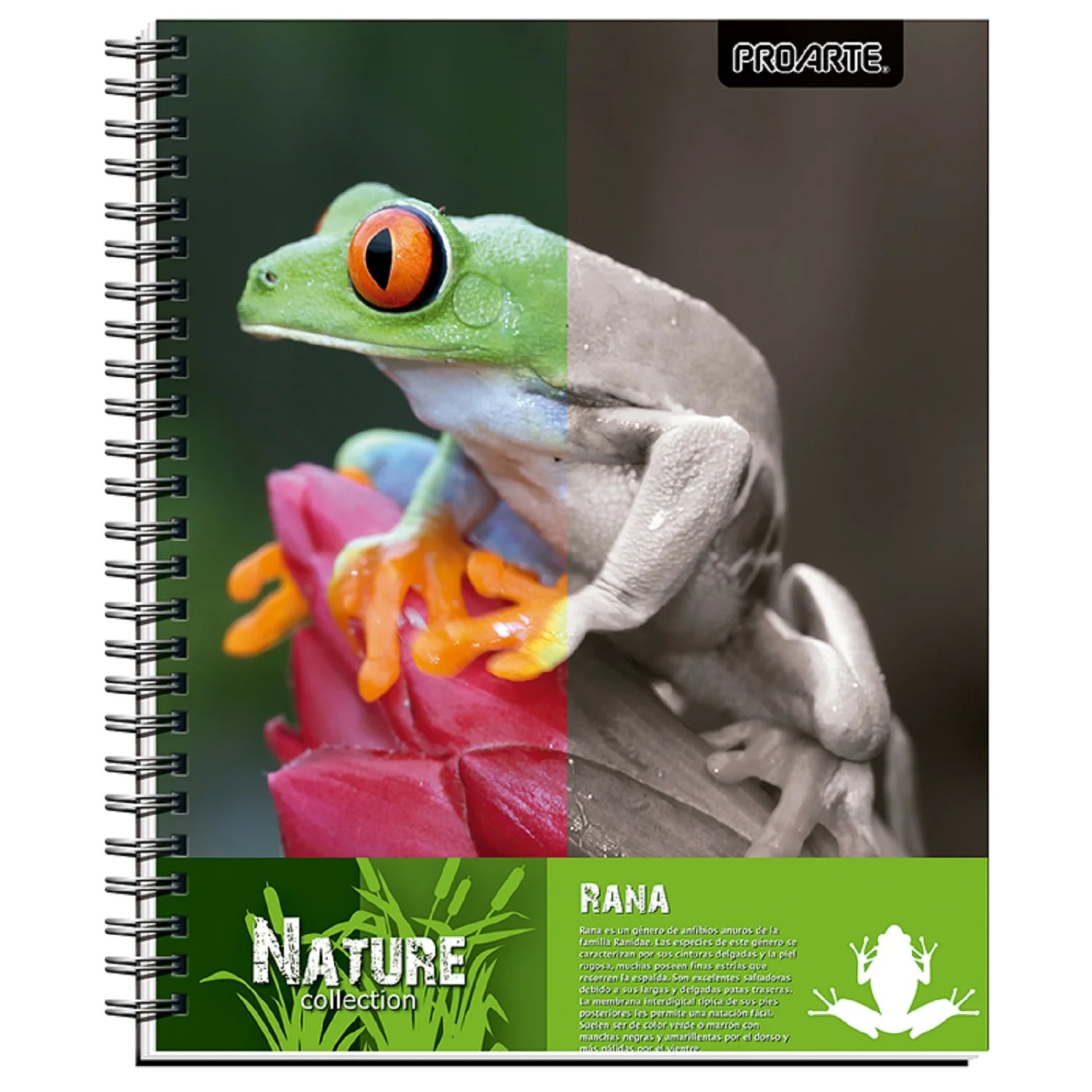 cuadernos en viña del mar