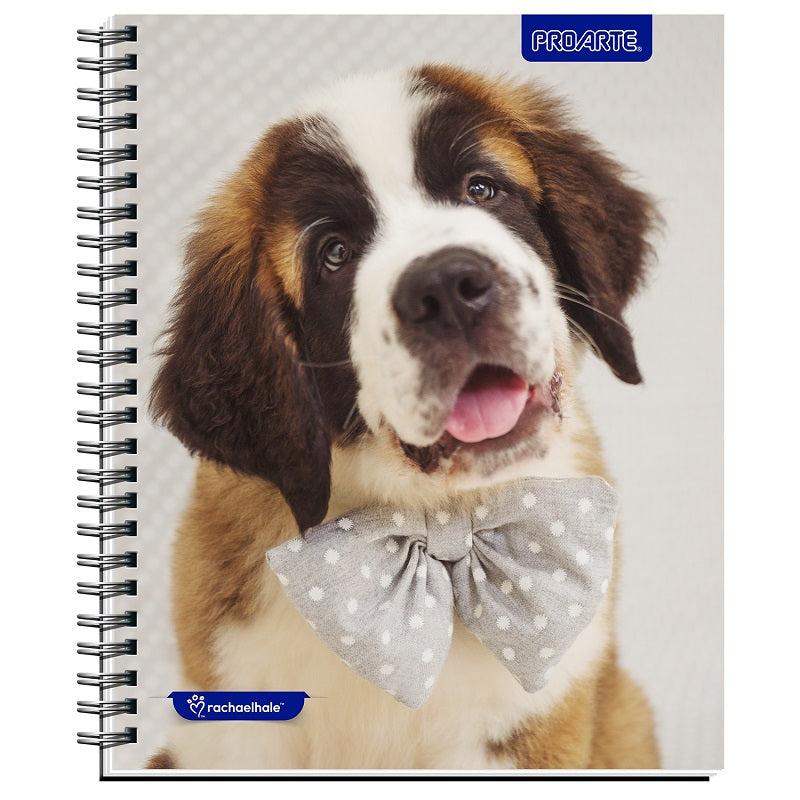 Cuaderno Universitario Animales Adorables 100hjs 7mm Proarte