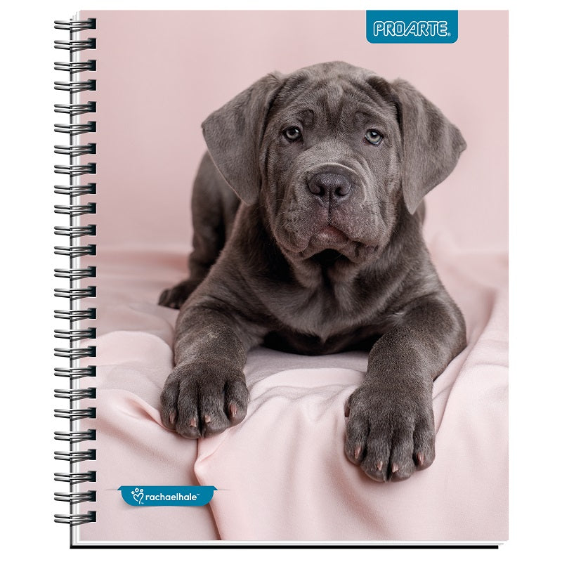 Cuaderno Universitario Animales Adorables 100hjs 7mm Proarte