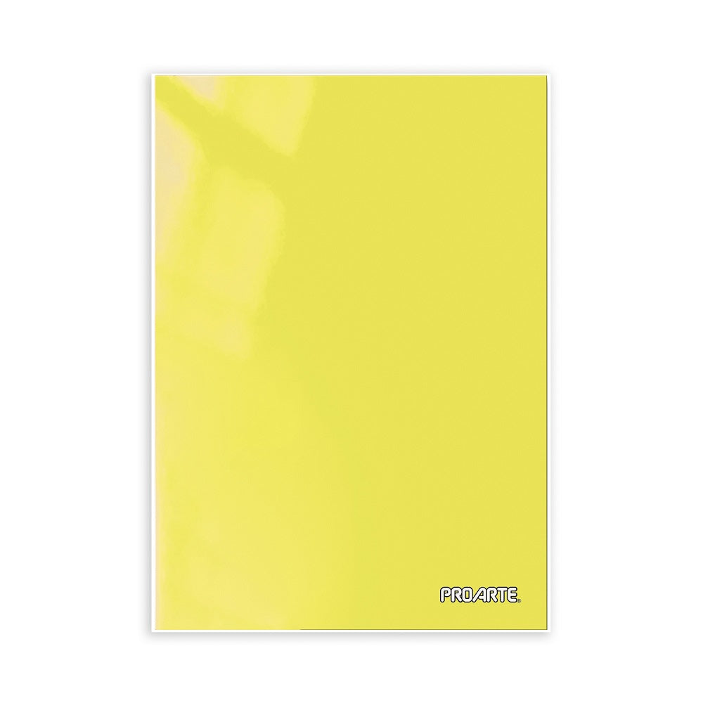 carpeta plastificada