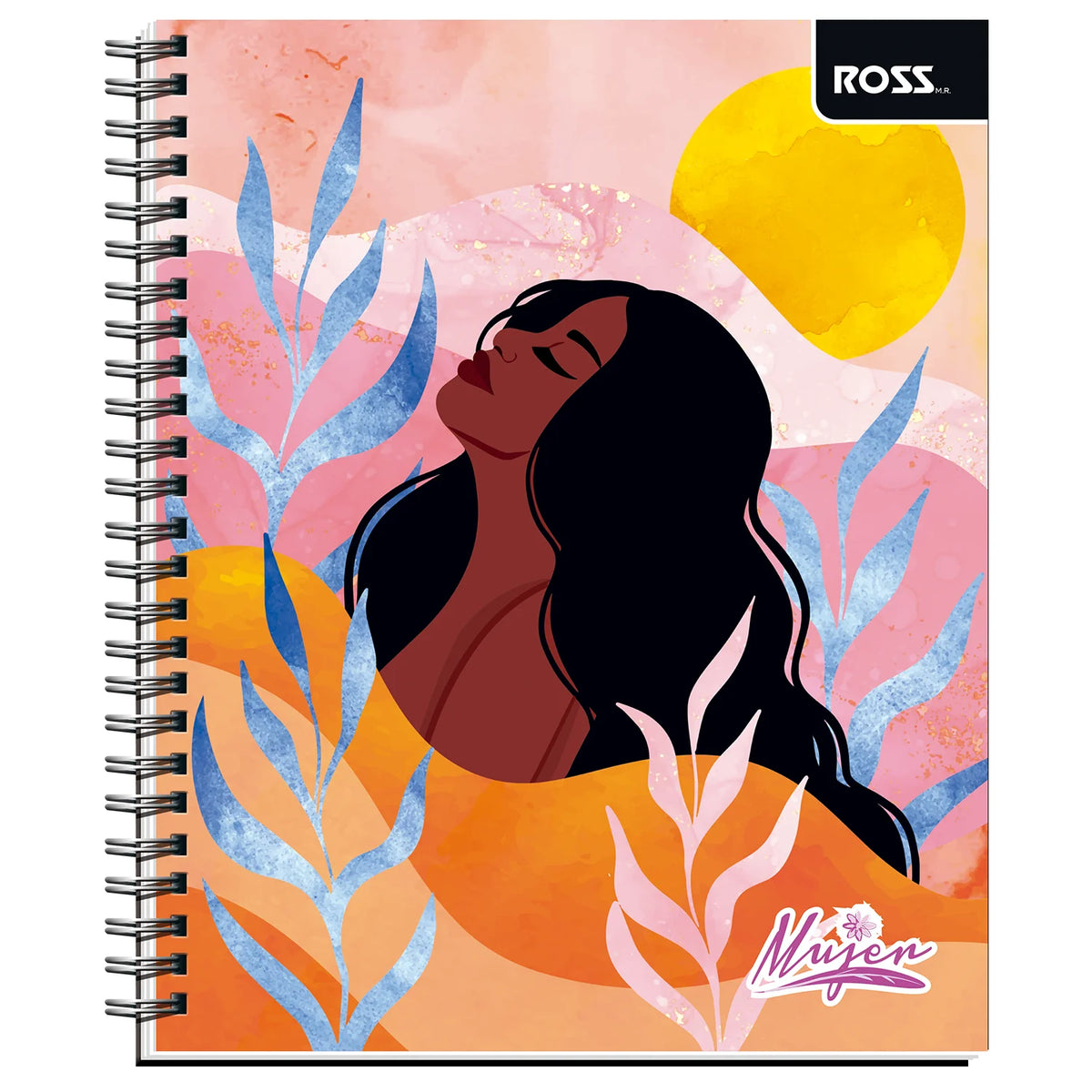 cuadernos ross en viña del mar
