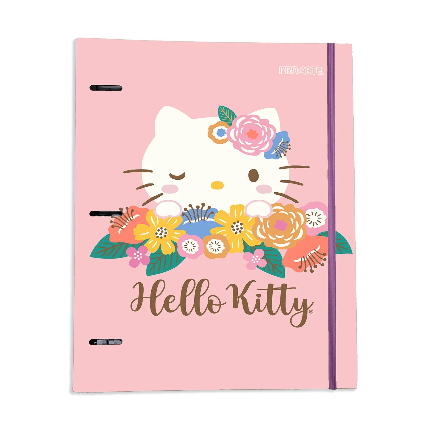 cuaderno recargable