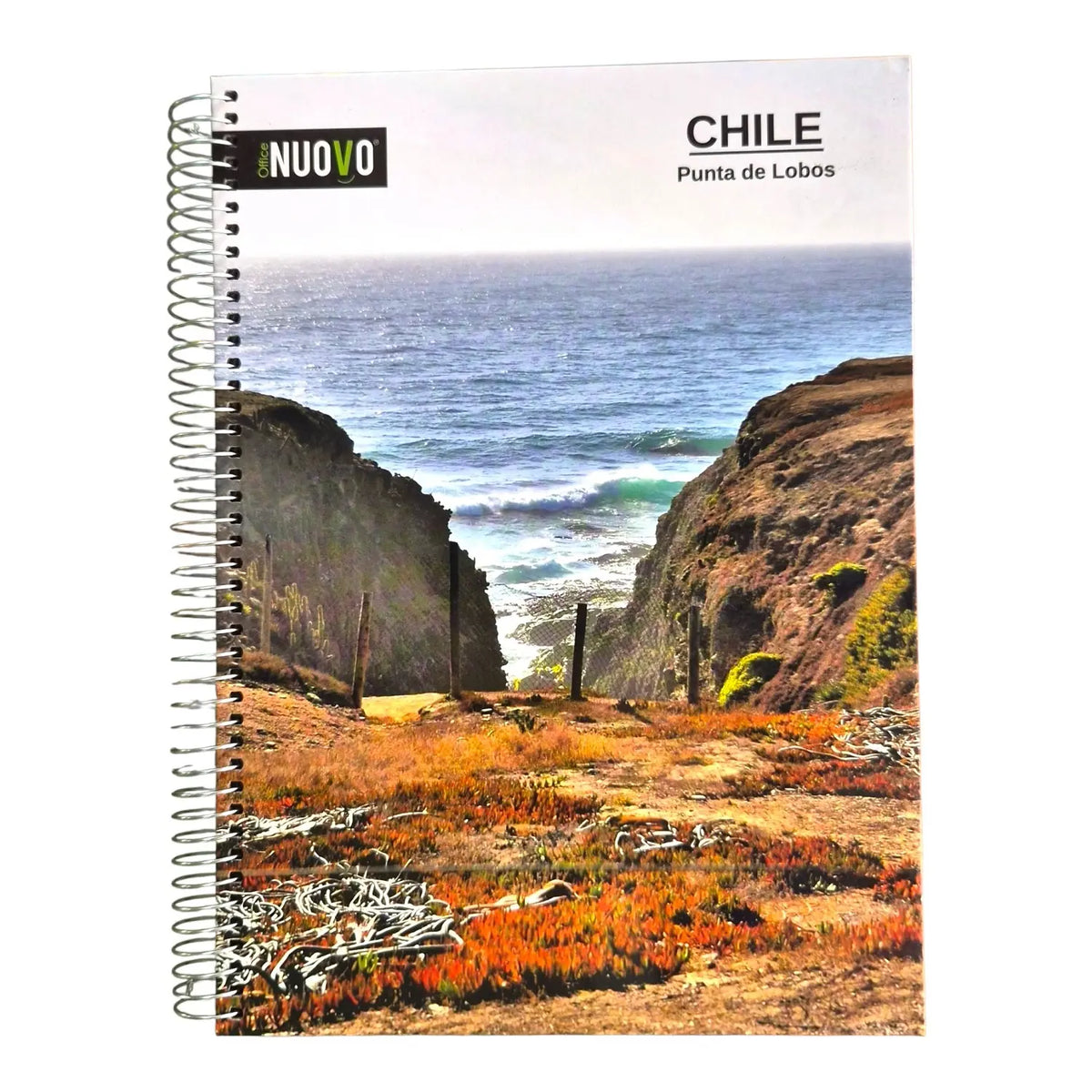 cuaderno triple punta de lobos chile