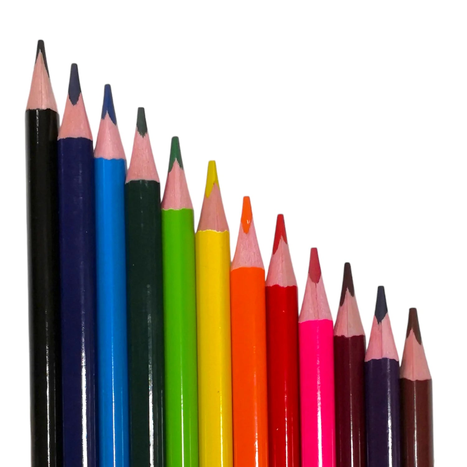 lapices triangular 12 colores