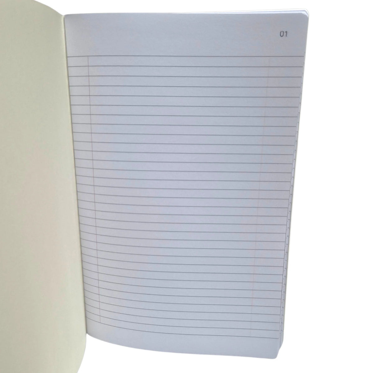 libro acta de lineas