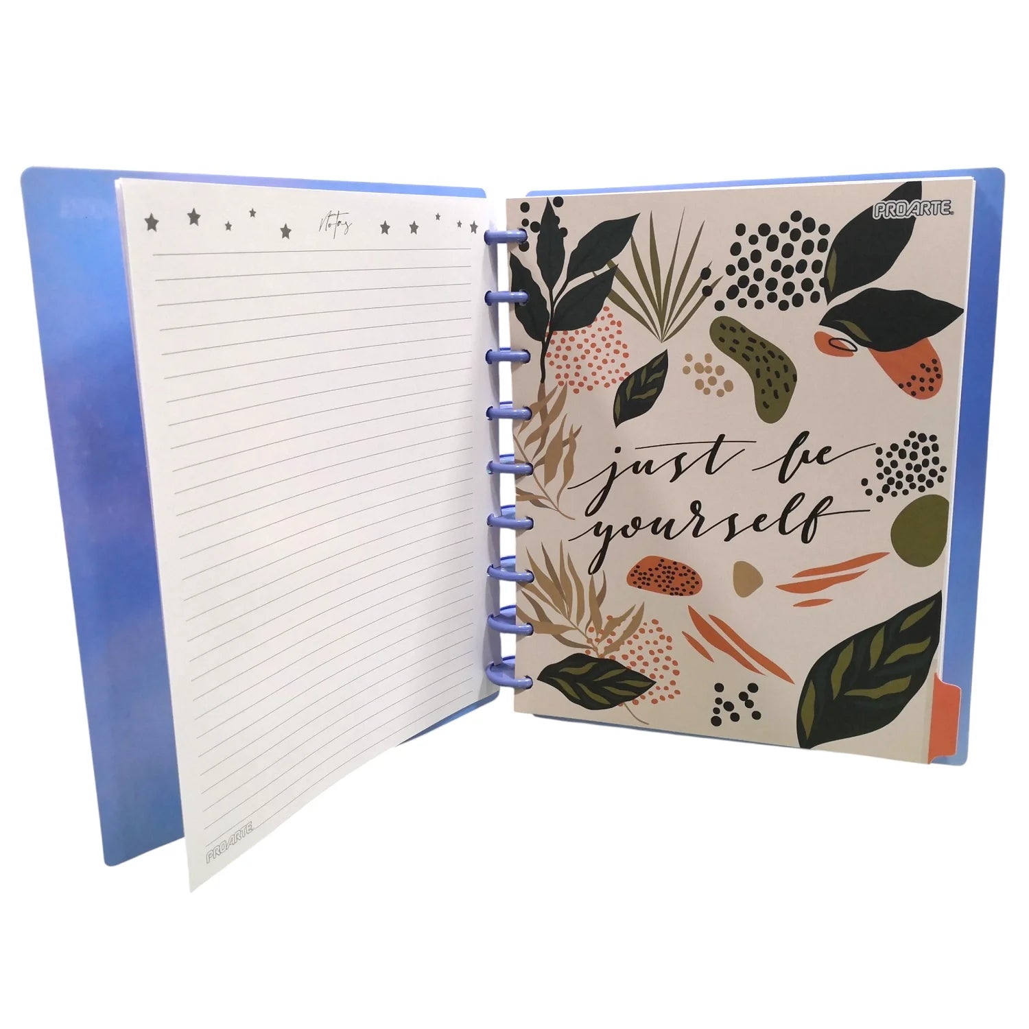 cuaderno de discos con separadores